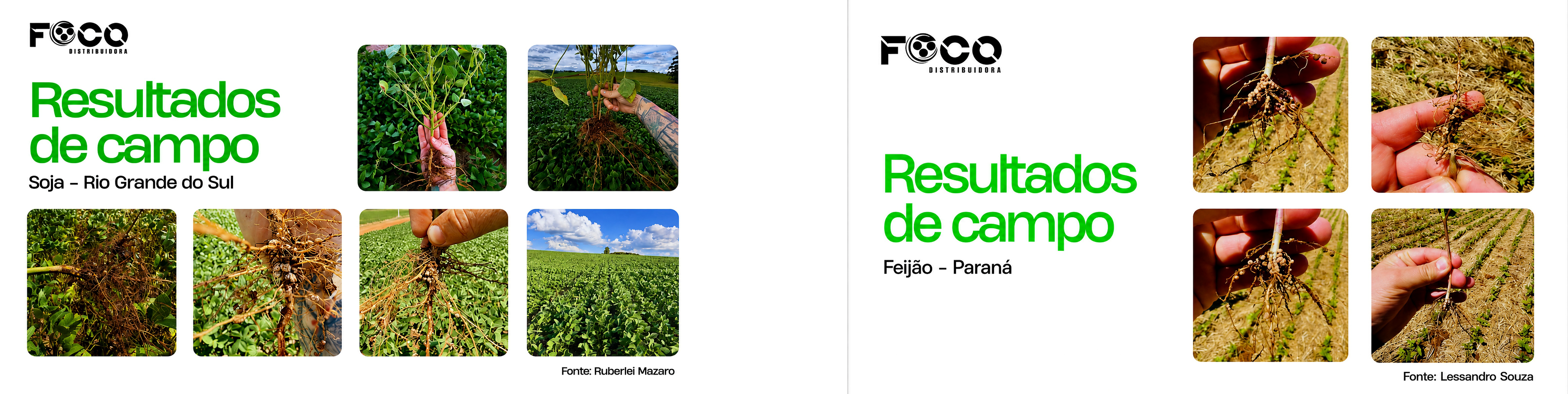 Produto vertical FOCO bioinsumo