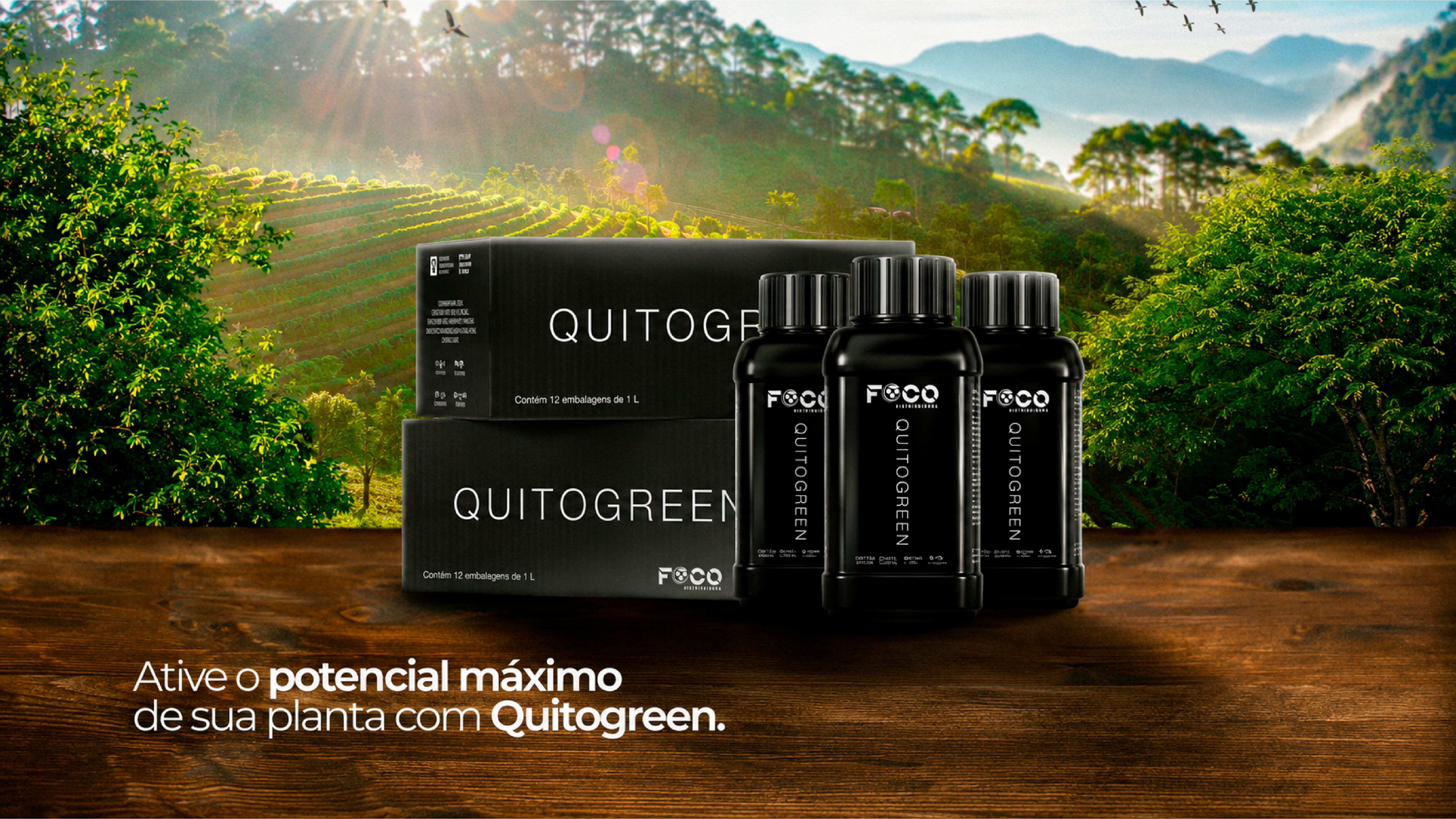 Quitogreen — bioestimulante Foco Distribuidora com gráficos de eficácia