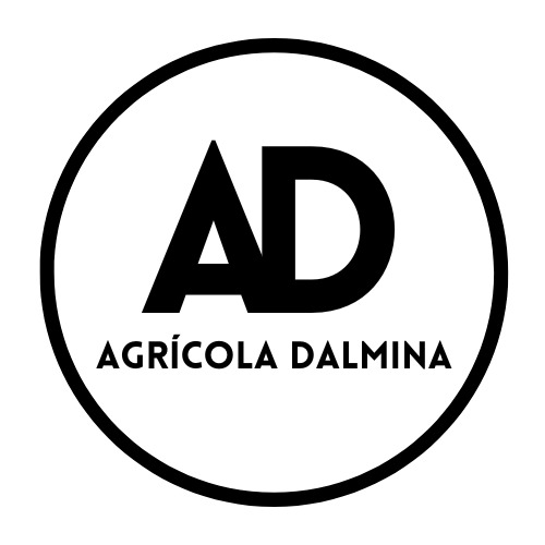 Comercial Argenta