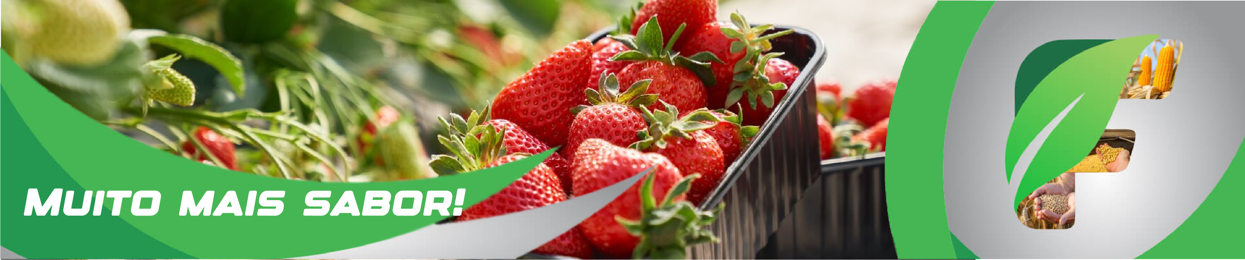 Banner 3